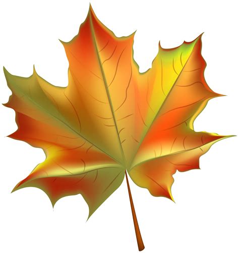 leaves clipart.